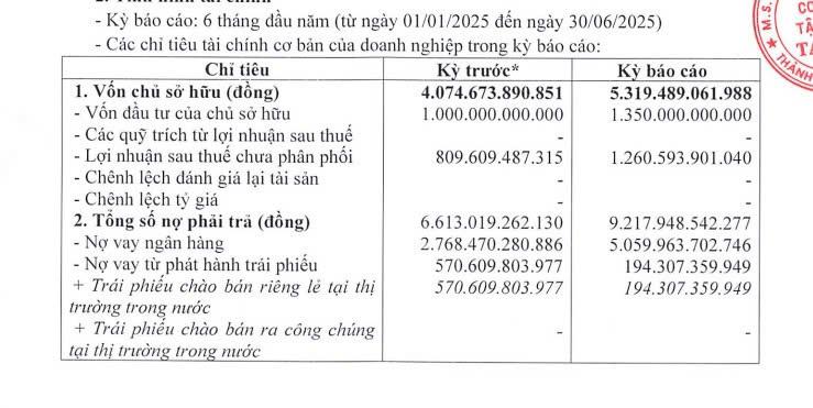 Báo cáo tài chính hợp nhất bán niên 2025 của Taseco Group 1d46f069d5855edb0794 (1)
