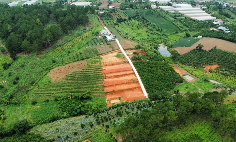 Tin bất động sản ngày 25/4: Dự án Tập đoàn TH đề xuất tại Lâm Đồng ảnh hưởng đến đất rừng và lâm nghiệp