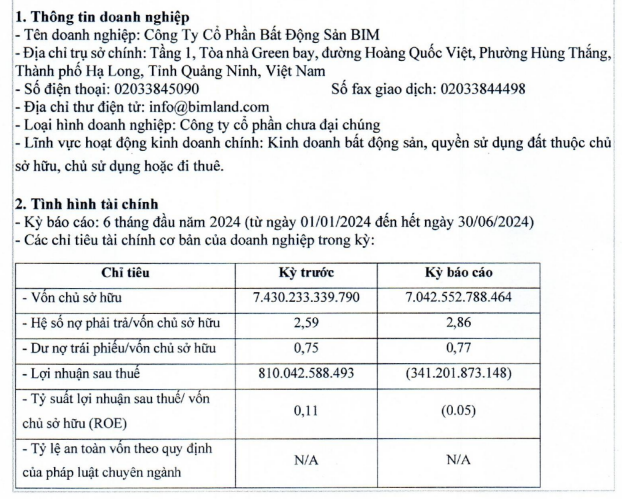 loi-nhuan-tai-BIM-Land-vnf-vnfinance