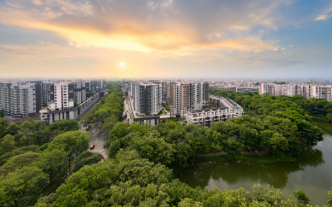 Chung cư phía Tây TP HCM: Hạ tầng tốt, giá hợp lý?