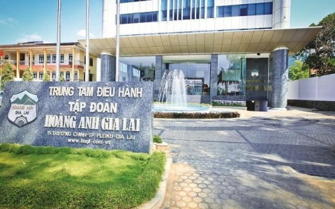 HAGL dự kiến phát hành 210 triệu cổ phiếu, tham vọng lợi nhuận năm 2025 đạt hơn 1.100 tỷ đồng
