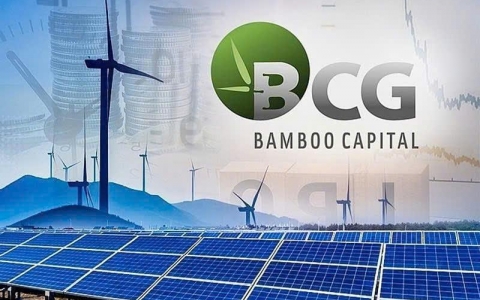 Bamboo Capital báo lãi khủng trước khi cổ phiếu bị hạn chế giao dịch trên sàn chứng khoán