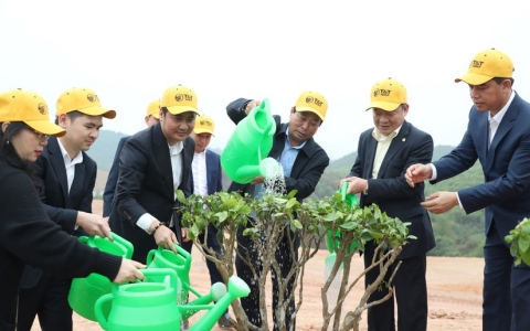 T&T Group phát động trồng 25.000 cây xanh tại tỉnh Phú Thọ