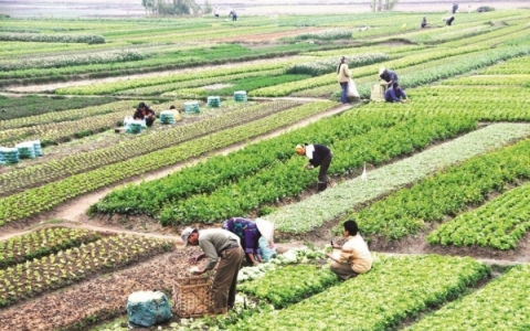 Người có đất thu hồi được hỗ trợ đào tạo nghề, việc làm và vay vốn trong 5 năm