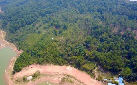 Thái Nguyên chuyển mục đích sử dụng 79,63ha rừng để thực hiện các dự án