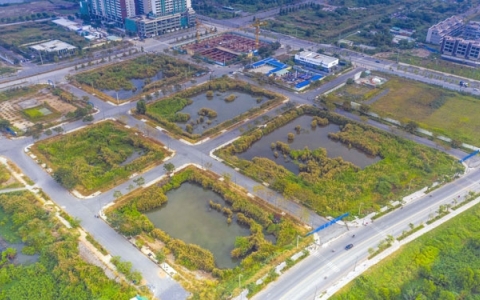 Tập đoàn Tân Hoàng Minh thông tin chính thức về việc xin tự nguyện đơn phương chấm dứt hợp đồng mua bán đấu giá lô đất tại Thủ Thiêm
