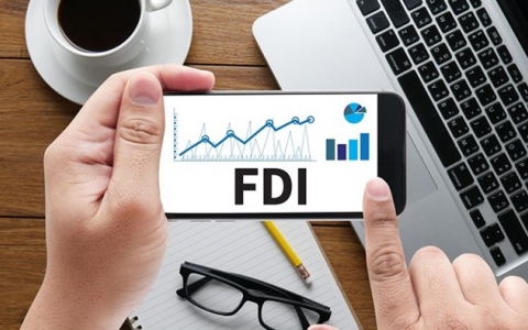 56% doanh nghiệp FDI báo lỗ￼