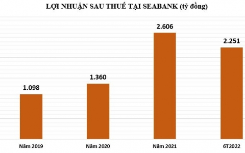 Lãi dự thu tại SeABank tăng gần 60%, lo ngại lợi nhuận chưa thực chất?